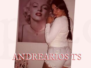 ANDREARIOS_TS