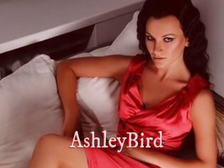 AshleyBird