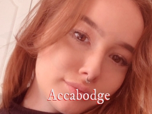 Accabodge