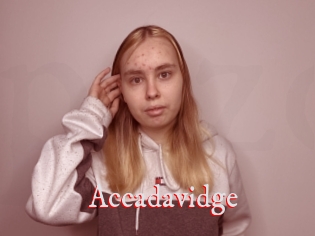 Accadavidge