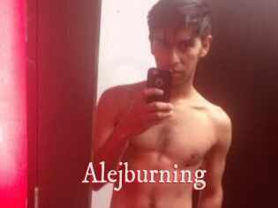 Alejburning