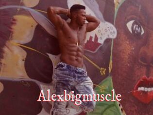 Alexbigmuscle