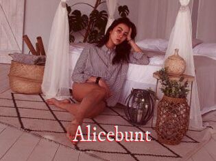 Alicebunt