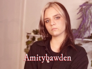 Amitybawden