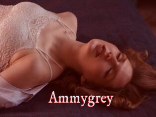 Ammygrey