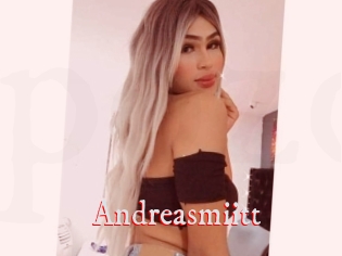 Andreasmiitt