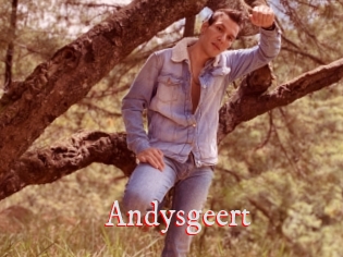 Andysgeert