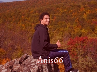 Anis66