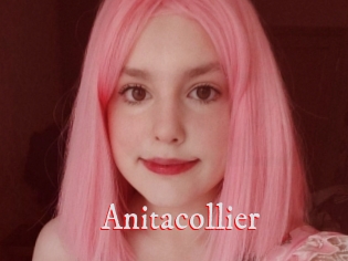 Anitacollier