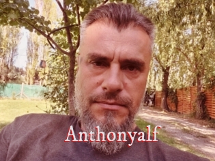 Anthonyalf