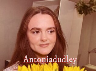 Antoniadudley