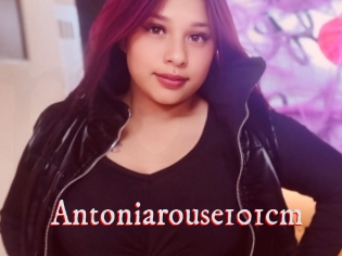 Antoniarouse101cm