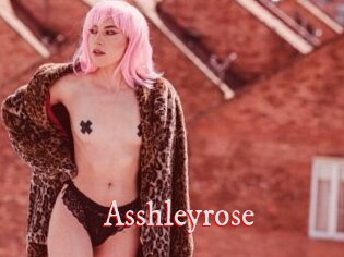 Asshleyrose