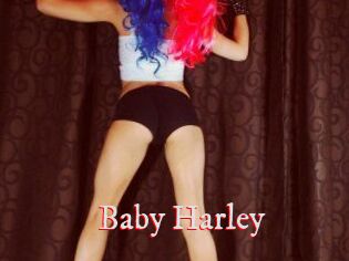 Baby_Harley