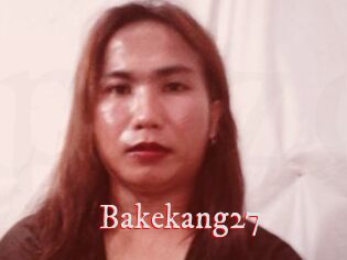 Bakekang27