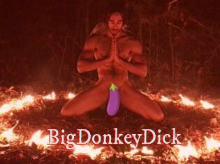 BigDonkeyDick