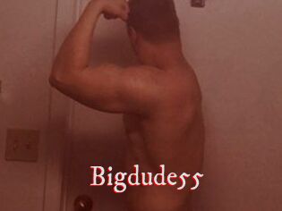 Bigdude55