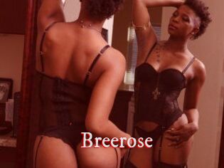 Breerose