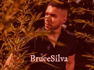 BruceSilva