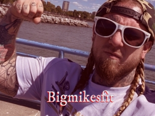 Bigmikesfit