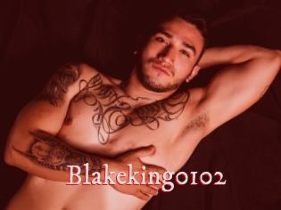 Blakeking0102