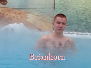 Brianhorn