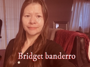 Bridget_banderro