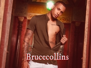 Brucecollins