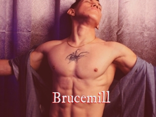 Brucemill