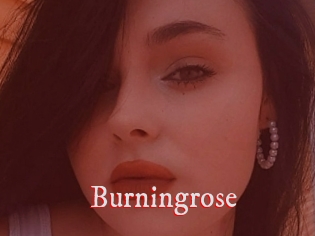 Burningrose