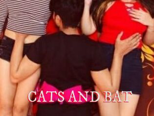 CATS_AND_BAT