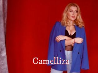 Camelliza