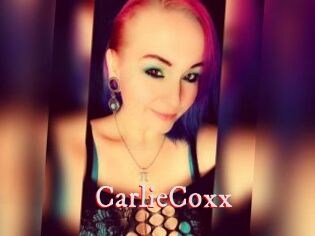 CarlieCoxx