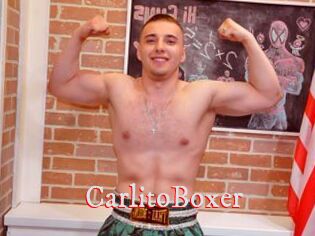 CarlitoBoxer