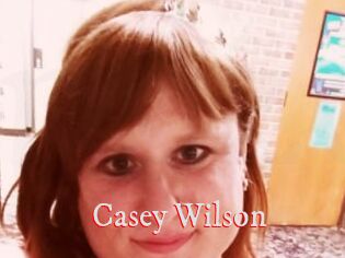 Casey_Wilson