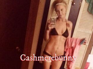 Cashmerebunny