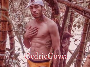 CedricGovea