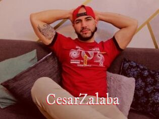 CesarZalaba