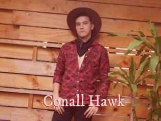 Conall_Hawk