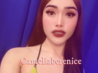 Cameliaberenice