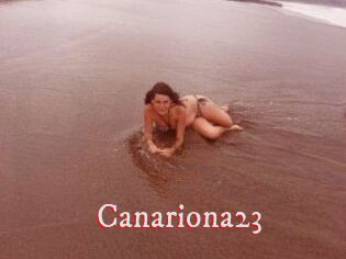 Canariona23