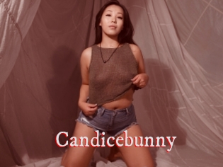 Candicebunny