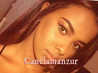 Canelamanzur