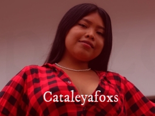 Cataleyafoxs