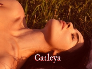 Catleya