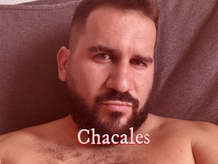 Chacales