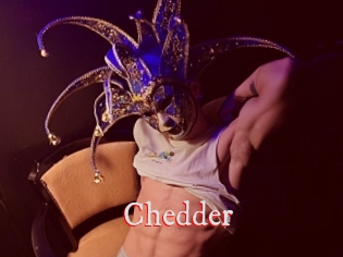 Chedder