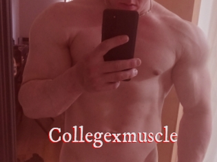 Collegexmuscle