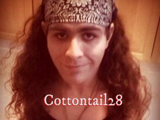 Cottontail28