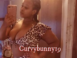 Curvybunny19